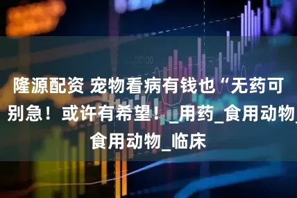 隆源配资 宠物看病有钱也“无药可医”？别急！或许有希望！_用药_食用动物_临床