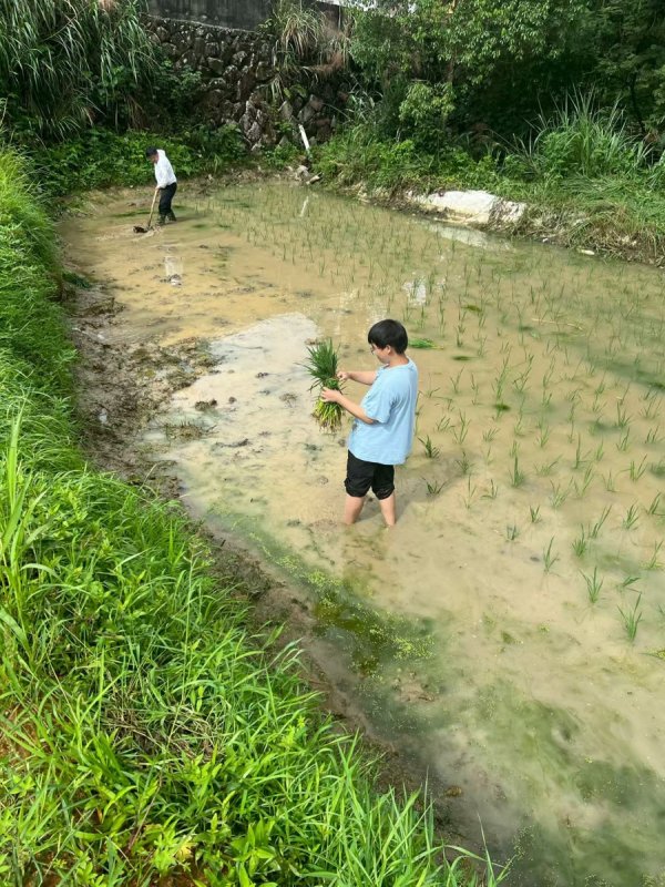 东方汇赢 今天是中国农民丰收节｜扎根浙江青田的博士生，迎来了自己四年来的“丰收日”